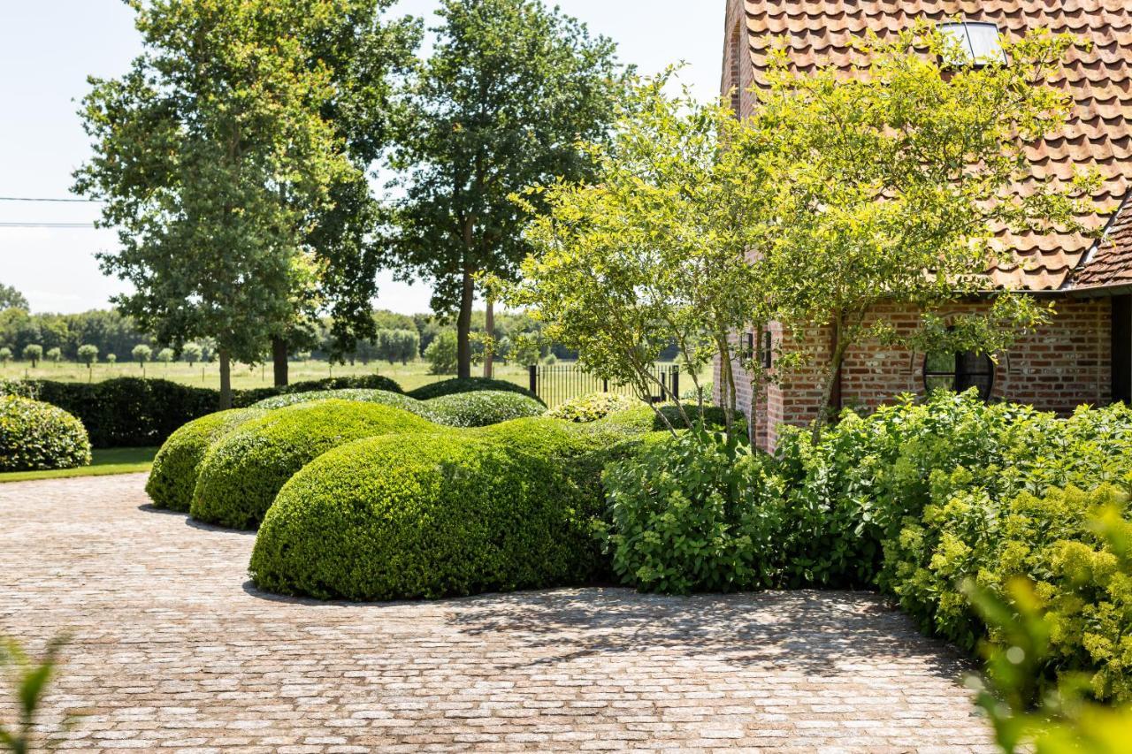 Hoeve Den Akker: Luxe Vakantiewoningen met Alpaca's nabij Brugge Damme Exterior photo