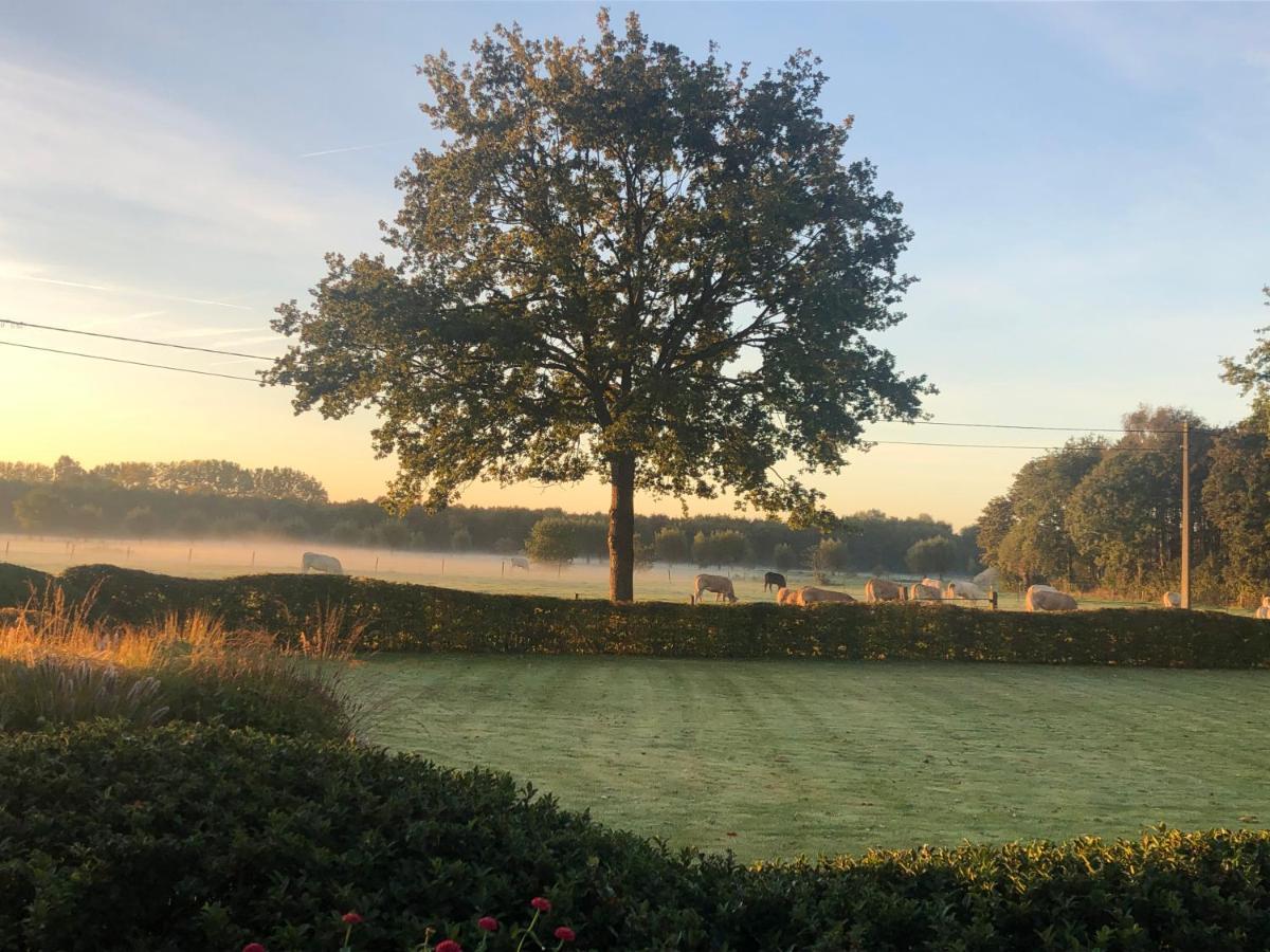 Hoeve Den Akker: Luxe Vakantiewoningen met Alpaca's nabij Brugge Damme Exterior photo