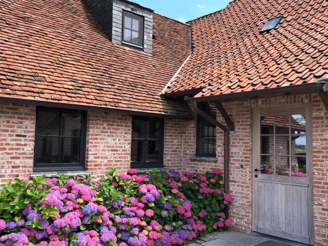 Hoeve Den Akker: Luxe Vakantiewoningen met Alpaca's nabij Brugge Damme Exterior photo