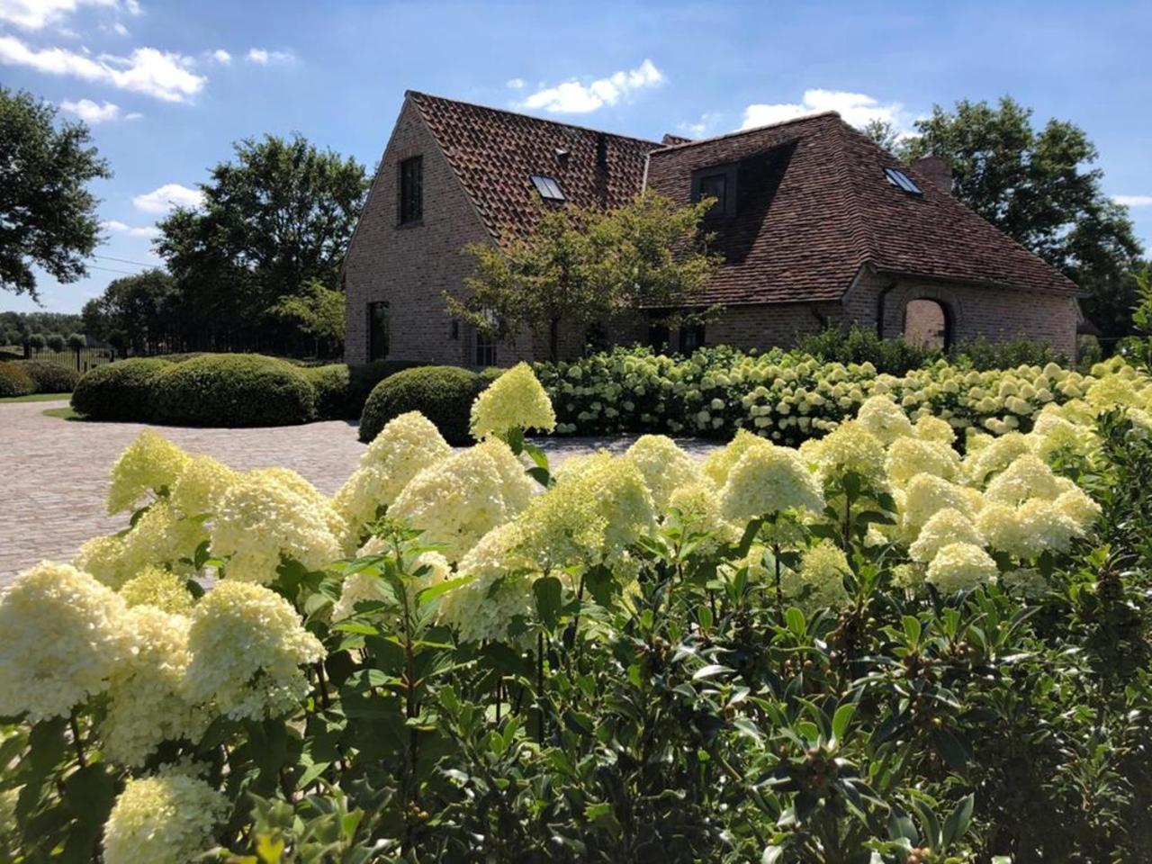 Hoeve Den Akker: Luxe Vakantiewoningen met Alpaca's nabij Brugge Damme Exterior photo