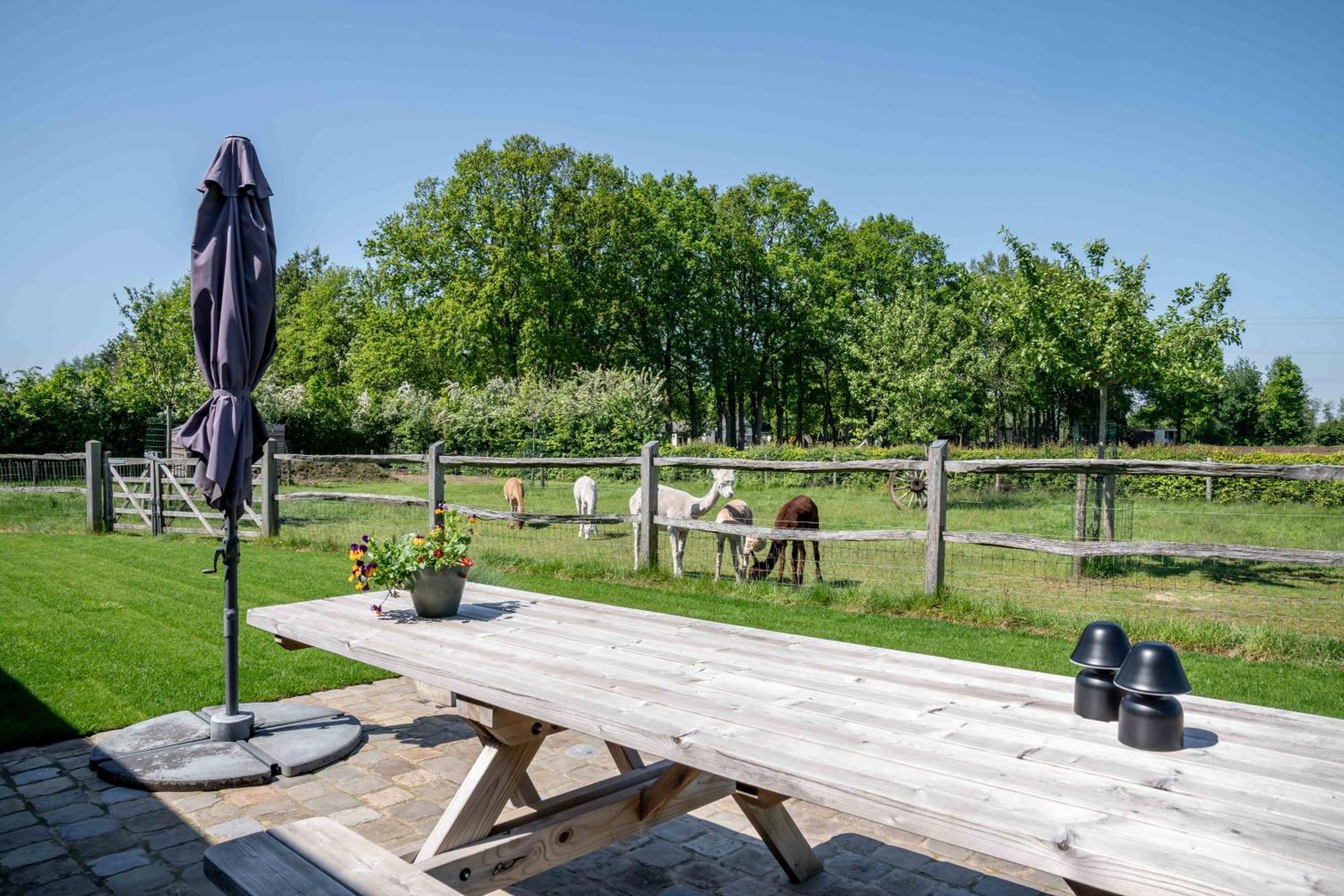 Hoeve Den Akker: Luxe Vakantiewoningen met Alpaca's nabij Brugge Damme Exterior photo